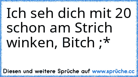 Ich seh dich mit 20 schon am Strich winken, Bitch ;*