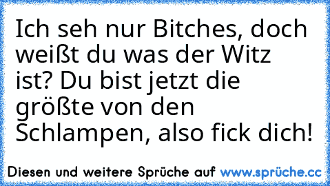 Ich seh nur Bitches, doch weißt du was der Witz ist? Du bist jetzt die größte von den Schlampen, also fick dich!