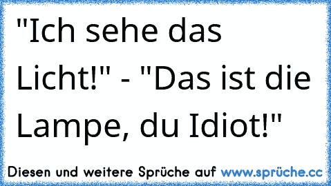 "Ich sehe das Licht!" - "Das ist die Lampe, du Idiot!"