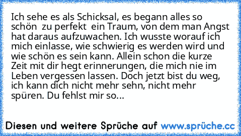 Ich sehe es als Schicksal, es begann alles so schön – zu perfekt – ein Traum, von dem man Angst hat daraus aufzuwachen. Ich wusste worauf ich mich einlasse, wie schwierig es werden wird und wie schön es sein kann. Allein schon die kurze Zeit mit dir hegt erinnerungen, die mich nie im Leben vergessen lassen. Doch jetzt bist du weg, ich kann dich nicht mehr sehn, nicht mehr spüren. Du fehlst mir so...