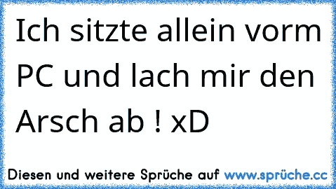 Ich sitzte allein vorm PC und lach mir den Arsch ab ! xD