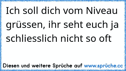 Ich soll dich vom Niveau grüssen, ihr seht euch ja schliesslich nicht so oft