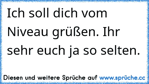 Ich soll dich vom Niveau grüßen. Ihr sehr euch ja so selten.