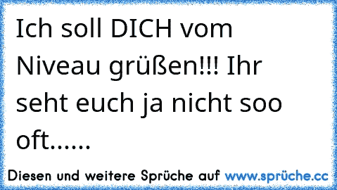 Ich soll DICH vom Niveau grüßen!!! Ihr seht euch ja nicht soo oft......