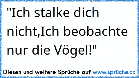 "Ich stalke dich nicht,Ich beobachte nur die Vögel!"