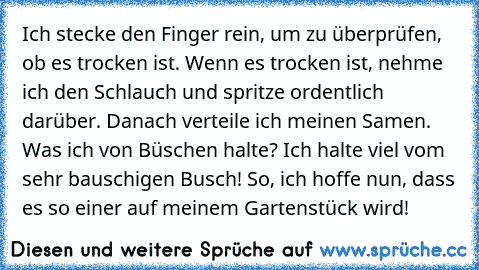 Ich stecke den Finger rein, um zu überprüfen, ob es trocken ist. Wenn es trocken ist, nehme ich den Schlauch und spritze ordentlich darüber. Danach verteile ich meinen Samen. Was ich von Büschen halte? Ich halte viel vom sehr bauschigen Busch! So, ich hoffe nun, dass es so einer auf meinem Gartenstück wird!