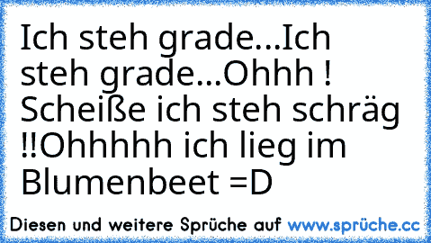 Ich steh grade...
Ich steh grade...
Ohhh ! Scheiße ich steh schräg !!
Ohhhhh ich lieg im Blumenbeet =D