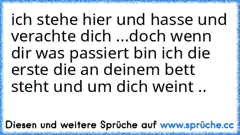 ich stehe hier und hasse und verachte dich ...
doch wenn dir was passiert bin ich die erste die an deinem bett steht und um dich weint ..