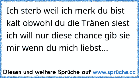 Ich sterb weil ich merk du bist kalt obwohl du die Tränen siest ich will nur diese chance gib sie mir wenn du mich liebst...