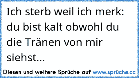 Ich sterb weil ich merk: du bist kalt obwohl du die Tränen von mir siehst...