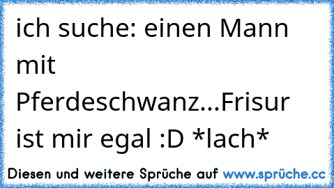 ich suche: einen Mann mit Pferdeschwanz...Frisur ist mir egal :D *lach*