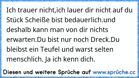 Ich trauer nicht,
ich lauer dir nicht auf du Stück Scheiße bist bedauerlich.
und deshalb kann man von dir nichts erwarten.
Du bist nur noch Dreck.
Du bleibst ein Teufel und warst selten menschlich. Ja ich kenn dich.