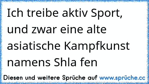 Ich treibe aktiv Sport, und zwar eine alte asiatische Kampfkunst namens Sh’la fen