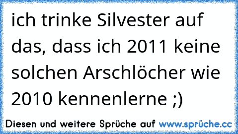 ich trinke Silvester auf das, dass ich 2011 keine solchen Arschlöcher wie 2010 kennenlerne ;)