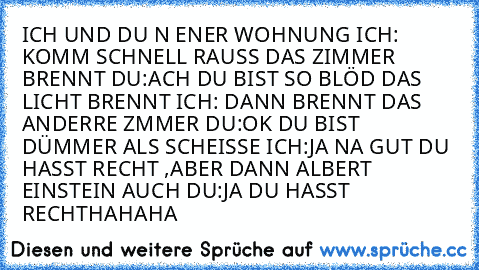 ICH UND DU İN EİNER WOHNUNG 
ICH: KOMM SCHNELL RAUSS DAS ZIMMER BRENNT 
DU:ACH DU BIST SO BLÖD DAS LICHT BRENNT 
ICH: DANN BRENNT DAS ANDERRE ZİMMER 
DU:OK DU BIST DÜMMER ALS SCHEISSE 
ICH:JA NA GUT DU HASST RECHT ,ABER DANN ALBERT EINSTEIN AUCH 
DU:JA DU HASST RECHT
HAHAHA