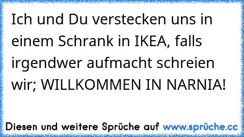 Ich und Du verstecken uns in einem Schrank in IKEA, falls irgendwer aufmacht schreien wir; WILLKOMMEN IN NARNIA!