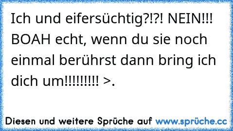 Ich und eifersüchtig?!?! NEIN!!! BOAH echt, wenn du sie noch einmal berührst dann bring ich dich um!!!!!!!!! >.