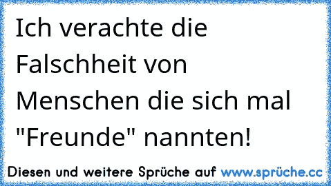 Ich verachte die Falschheit von Menschen die sich mal "Freunde" nannten!