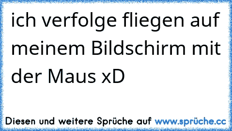 ich verfolge fliegen auf meinem Bildschirm mit der Maus xD