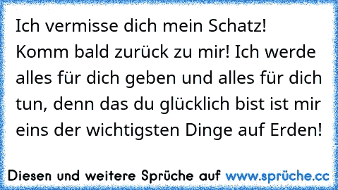 Ich vermisse dich mein Schatz! Komm bald zurück zu mir! Ich werde alles für dich geben und alles für dich tun, denn das du glücklich bist ist mir eins der wichtigsten Dinge auf Erden!