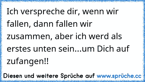 Ich verspreche dir, wenn wir fallen, dann fallen wir zusammen, aber ich werd als erstes unten sein...um Dich auf zufangen!! ♥♥