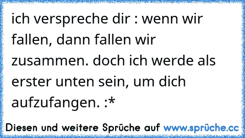 ich verspreche dir : wenn wir fallen, dann fallen wir zusammen. doch ich werde als erster unten sein, um dich aufzufangen. :*