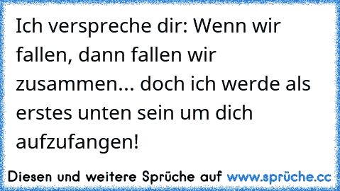 Ich verspreche dir: Wenn wir fallen, dann fallen wir zusammen... doch ich werde als erstes unten sein um dich aufzufangen!
♥