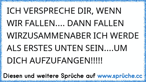 ICH VERSPRECHE DIR,
 WENN WIR FALLEN....
 DANN FALLEN WIR
ZUSAMMEN
ABER ICH WERDE ALS ERSTES UNTEN SEIN....
UM DICH AUFZUFANGEN!!!!!