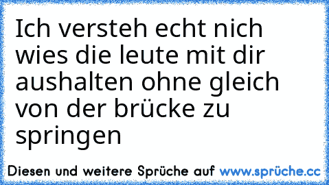 Ich versteh echt nich wies die leute mit dir aushalten ohne gleich von der brücke zu springen