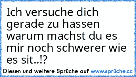 Ich versuche dich gerade zu hassen warum machst du es mir noch schwerer wie es sit..!?