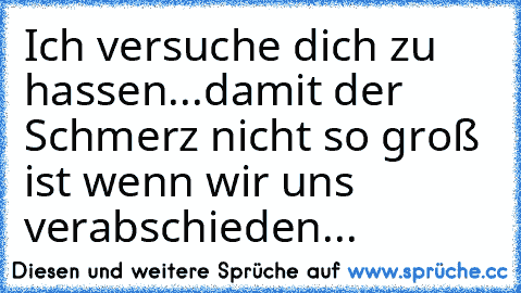 Ich versuche dich zu hassen...damit der Schmerz nicht so groß ist wenn wir uns verabschieden...