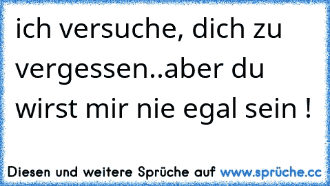 ich versuche, dich zu vergessen..
aber du wirst mir nie egal sein ! ♥