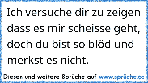 Ich versuche dir zu zeigen dass es mir scheisse geht, doch du bist so blöd und merkst es nicht.