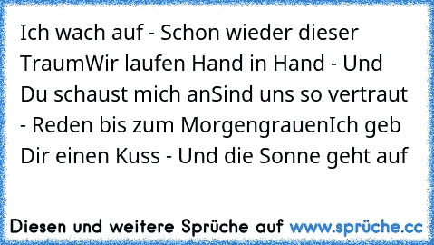 Ich wach auf - Schon wieder dieser Traum
Wir laufen Hand in Hand - Und Du schaust mich an
Sind uns so vertraut - Reden bis zum Morgengrauen
Ich geb Dir einen Kuss - Und die Sonne geht auf