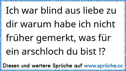 Ich war blind aus liebe zu dir warum habe ich nicht früher gemerkt, was für ein arschloch du bist !?