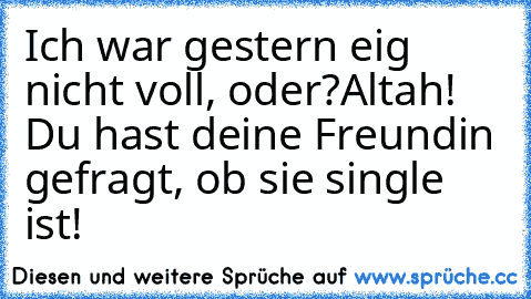 Ich war gestern eig nicht voll, oder?
	Altah! Du hast deine Freundin gefragt, ob sie single ist!