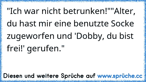 "Ich war nicht betrunken!"
"Alter, du hast mir eine benutzte Socke zugeworfen und 'Dobby, du bist frei!' gerufen."