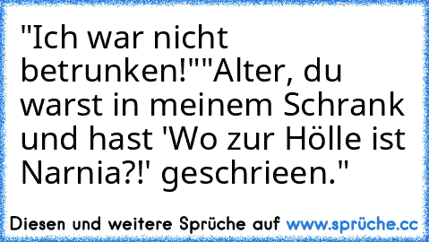 "Ich war nicht betrunken!"
"Alter, du warst in meinem Schrank und hast 'Wo zur Hölle ist Narnia?!' geschrieen."