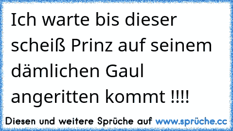 Ich warte bis dieser scheiß Prinz auf seinem dämlichen Gaul angeritten kommt !!!! ♥ ♥ ♥