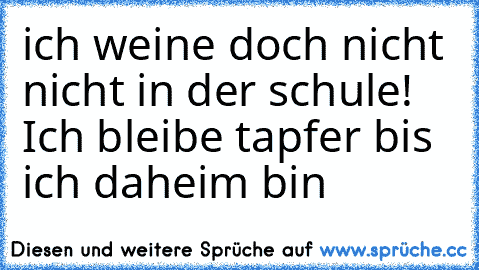 ich weine doch nicht nicht in der schule! Ich bleibe tapfer bis ich daheim bin