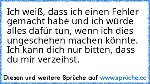 Ich weiß, dass ich einen Fehler gemacht habe und ich würde alles dafür tun, wenn ich dies ungeschehen machen könnte. Ich kann dich nur bitten, dass du mir verzeihst.