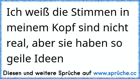 Ich weiß die Stimmen in meinem Kopf sind nicht real, aber sie haben so geile Ideen…