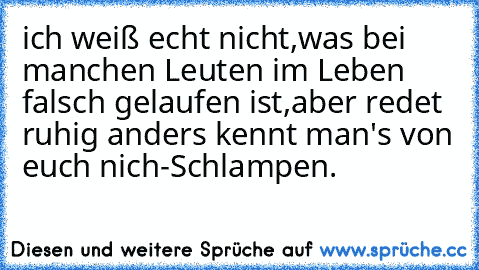 ich weiß echt nicht,was bei manchen Leuten im Leben falsch gelaufen ist,aber redet ruhig anders kennt man's von euch nich-Schlampen.