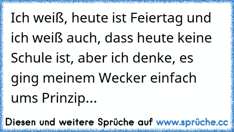 Ich weiß, heute ist Feiertag und ich weiß auch, dass heute keine Schule ist, aber ich denke, es ging meinem Wecker einfach ums Prinzip...