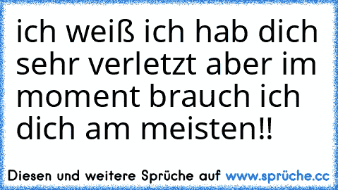 ich weiß ich hab dich sehr verletzt aber im moment brauch ich dich am meisten!!