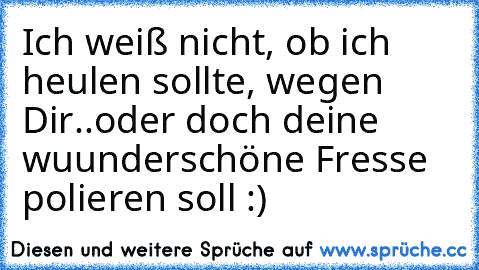 Ich weiß nicht, ob ich heulen sollte, wegen Dir..
oder doch deine wuunderschöne Fresse polieren soll :)