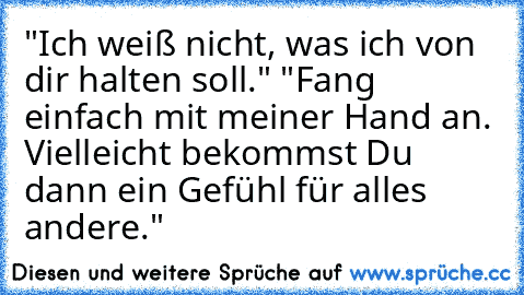 "Ich weiß nicht, was ich von dir halten soll." "Fang einfach mit meiner Hand an. Vielleicht bekommst Du dann ein Gefühl für alles andere."