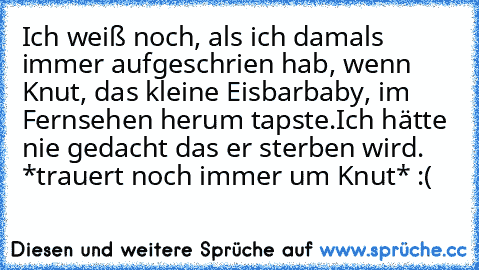 Ich weiß noch, als ich damals immer aufgeschrien hab, wenn Knut, das kleine Eisbarbaby, im Fernsehen herum tapste.
Ich hätte nie gedacht das er sterben wird. 
*trauert noch immer um Knut* :(