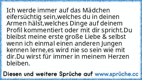 Ich werde immer auf das Mädchen eifersüchtig sein,welches du in deinen Armen hälst,welches Dinge auf deinem Profil kommentiert oder mit dir spricht.Du bleibst meine erste große Liebe & selbst wenn ich einmal einen anderen Jungen kennen lerne,es wird nie so sein wie mit dir.Du wirst für immer in meinem Herzen bleiben.♥