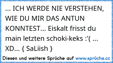 ... ICH WERDE NIE VERSTEHEN, WIE DU MIR DAS ANTUN KONNTEST... Eiskalt frisst du main letzten schoki-keks :'( ... XD... { SaLiish }